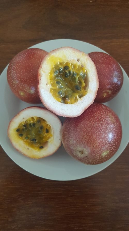 Passiflora edulis (fruits)