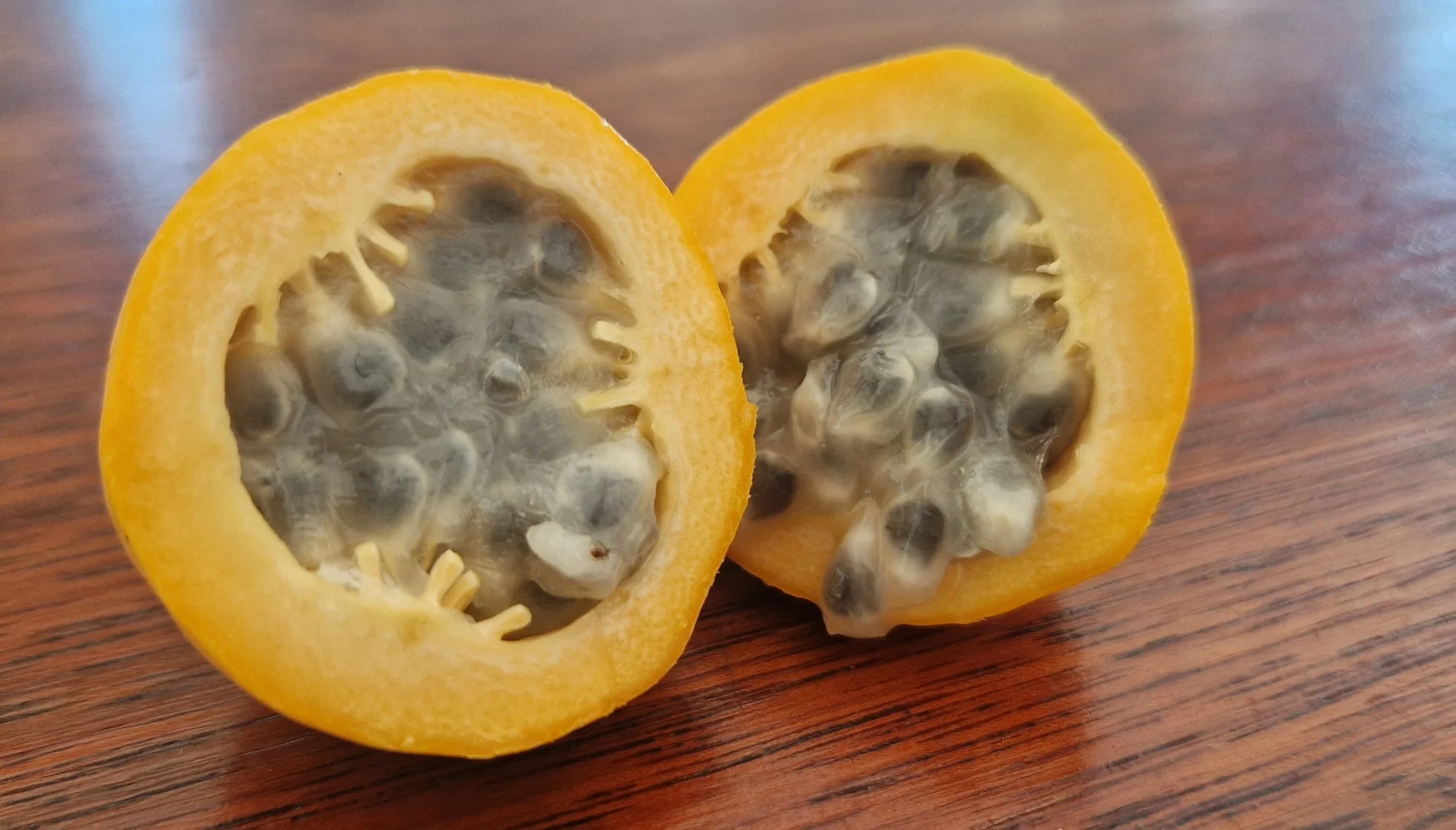 Passiflora laurifolia - Pomme Liane / Golden bellapple - (graines/seeds) – Image 6